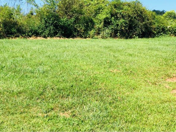 1666 Whirlwind Rd, Greeneville, TN 37743